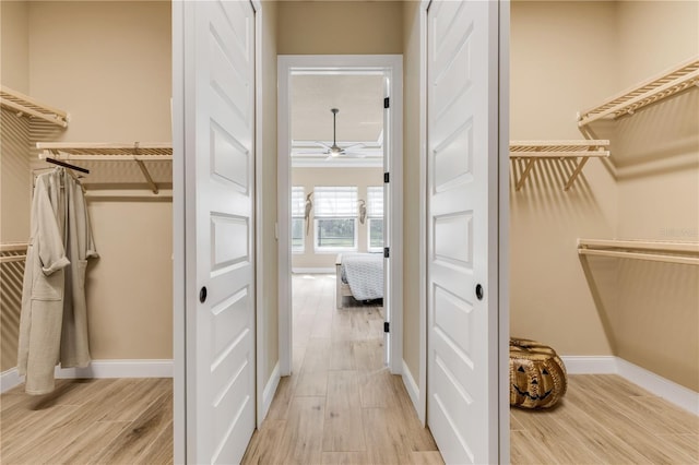 walk in closet with light hardwood / wood-style floors and ceiling fan