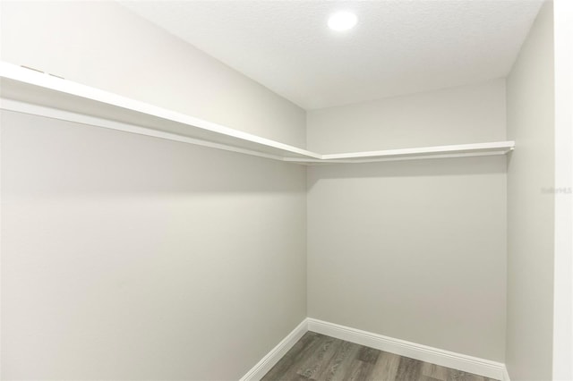 spacious closet with dark hardwood / wood-style floors