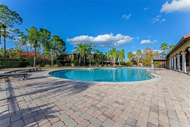 view of swimming pool with a patio area