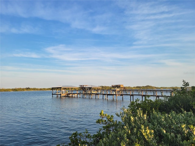 dock area featuring a water view