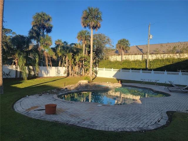 view of pool featuring a yard and a patio