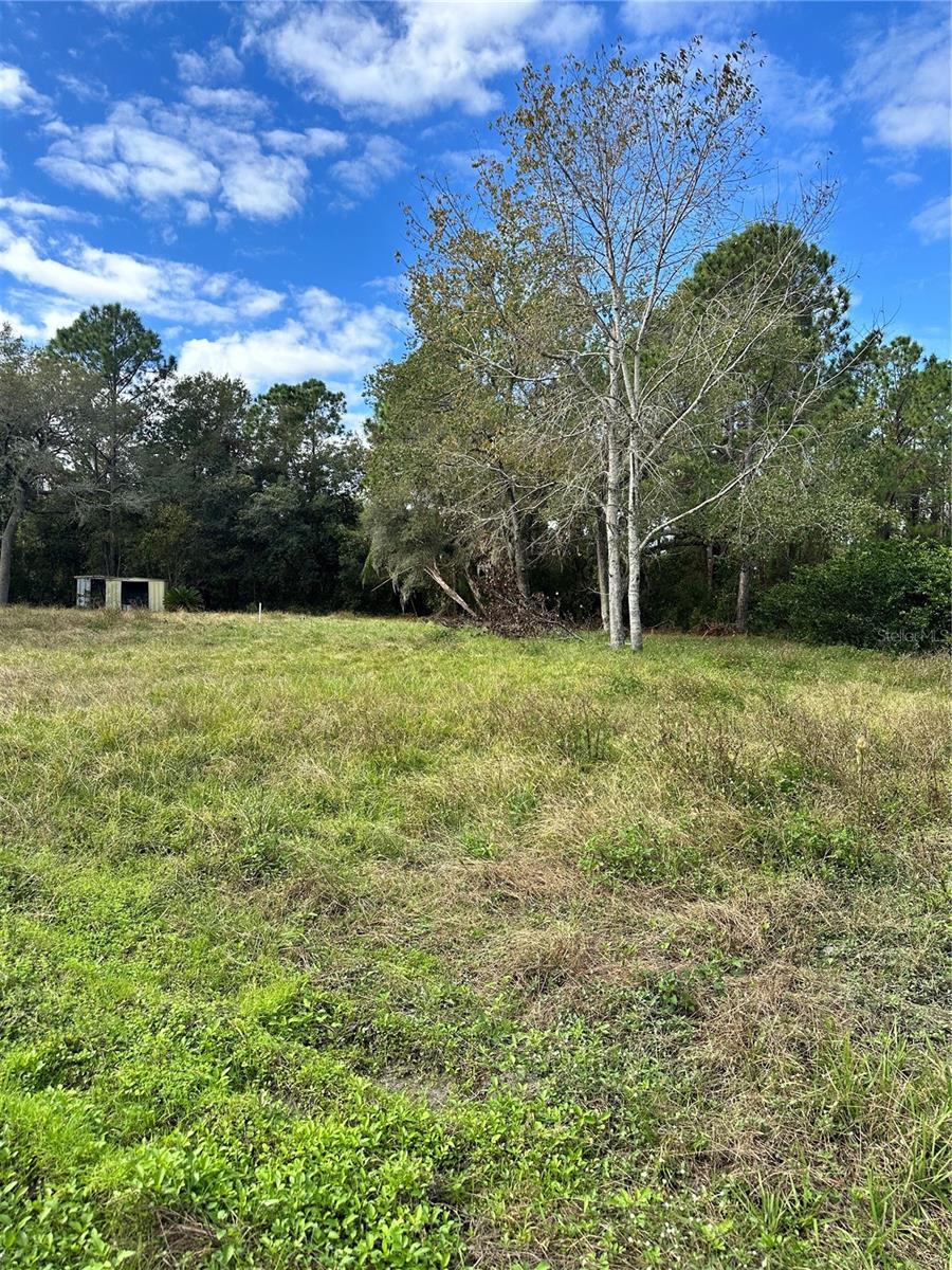 31242 Lakeside Dr, Deland, FL 32720 - photo 1
