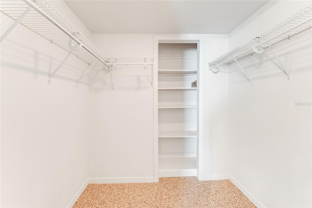 5201 S Atlantic Ave Unit 809A, New Smyrna Beach, FL 32169 - spacious closet with carpet