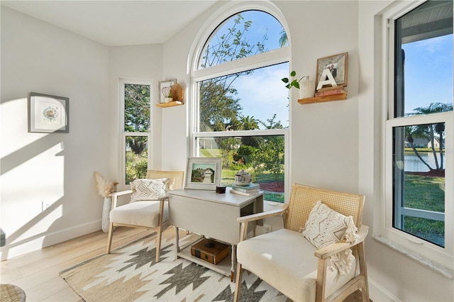 sitting room featuring a healthy amount of sunlight, light hardwood / wood-style floors, and vaulted ceiling