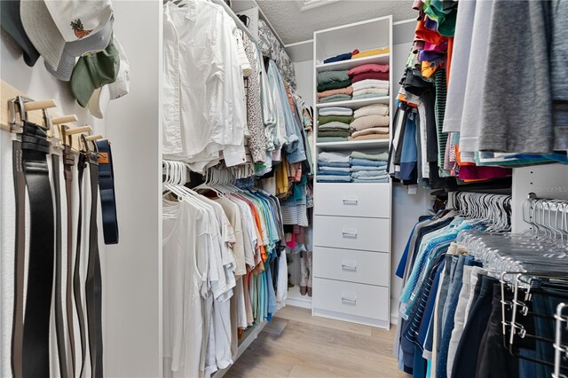 spacious closet featuring light hardwood / wood-style flooring