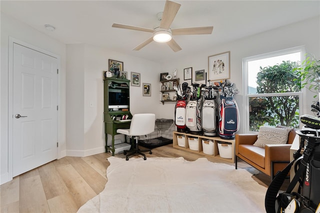 office space with light hardwood / wood-style floors and ceiling fan