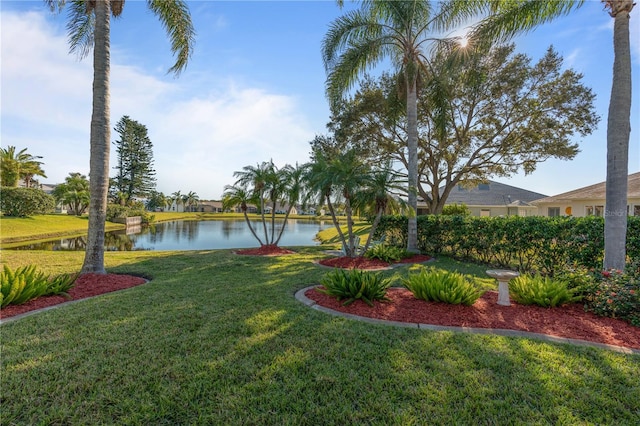 view of yard featuring a water view