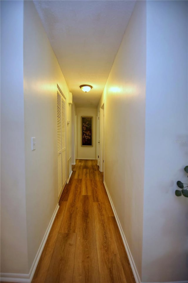 corridor featuring wood-type flooring