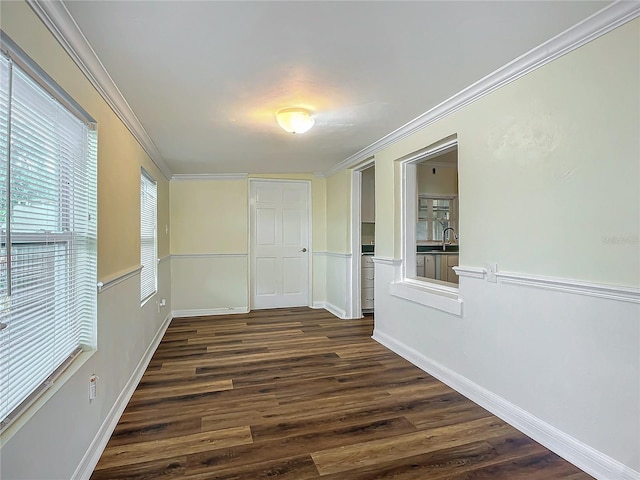 interior space featuring crown molding, sink, and dark hardwood / wood-style floors