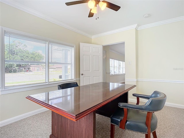 carpeted office space featuring ceiling fan and crown molding