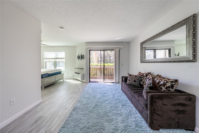 living room with wood-type flooring and a textured ceiling