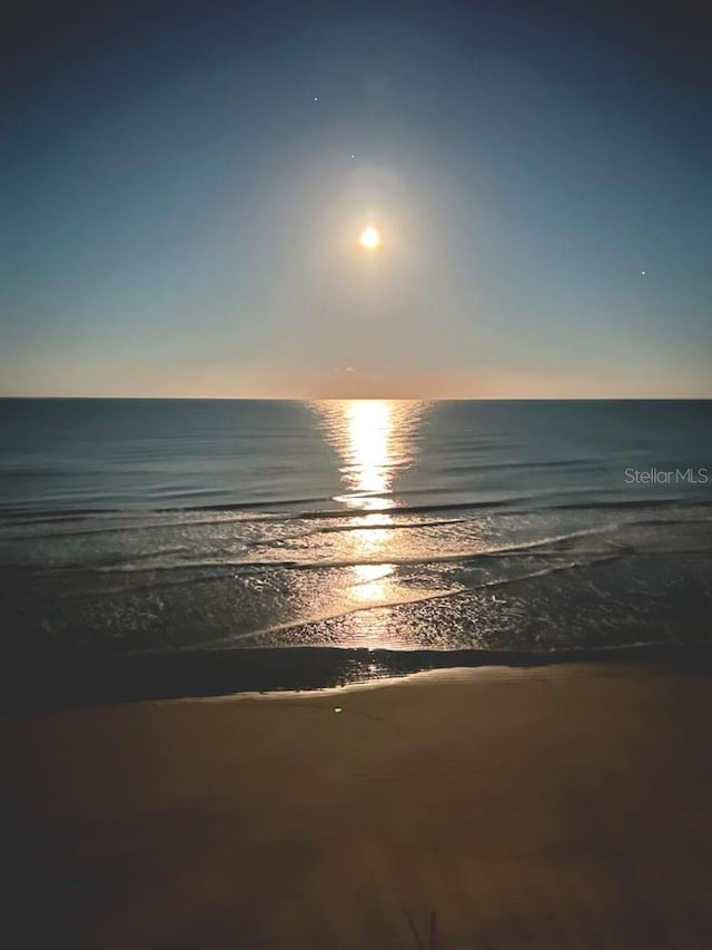 water view featuring a beach view