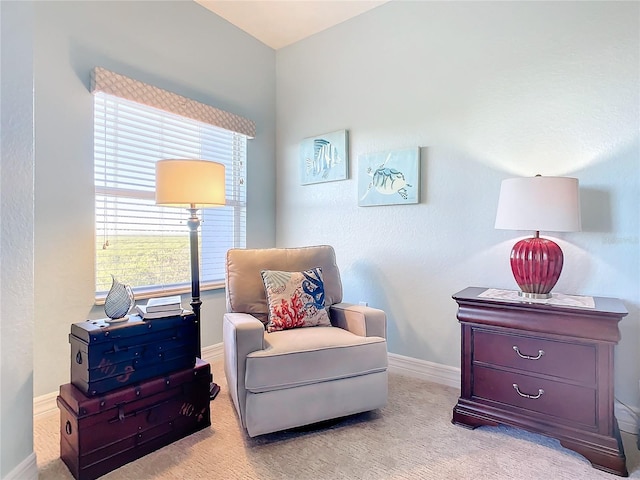 sitting room with light carpet