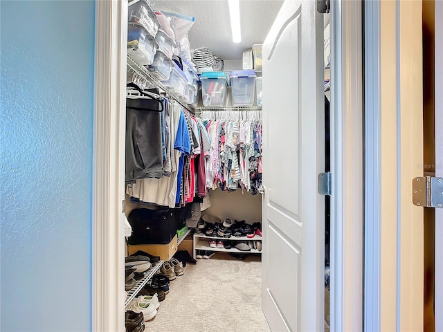 walk in closet featuring carpet flooring