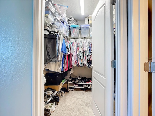 5300 S Atlantic Ave Unit 17-506, New Smyrna Beach, FL 32169 - spacious closet featuring carpet floors