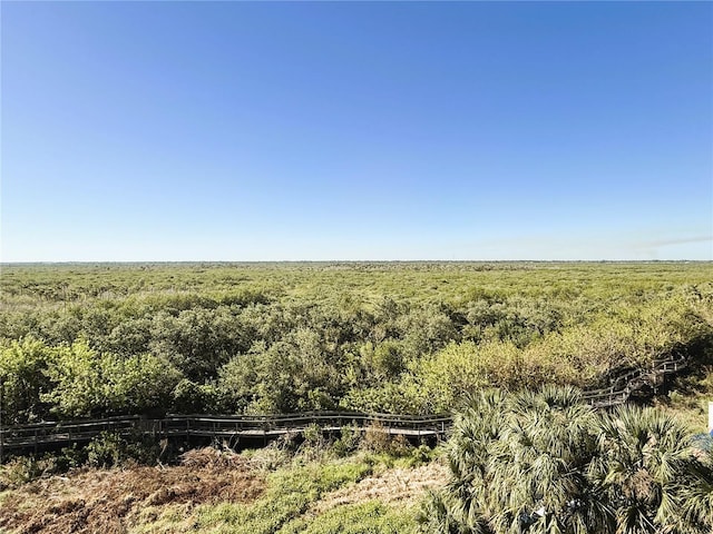 view of local wilderness featuring a rural view