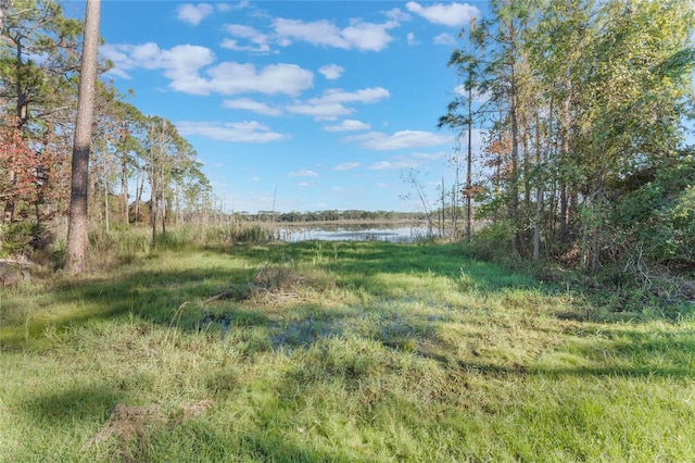 view of yard with a water view