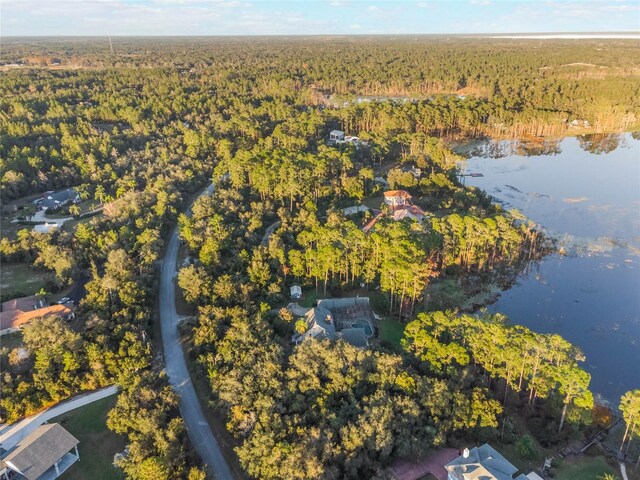 535 Valley Stream Dr, Geneva, FL 32732 - photo 61