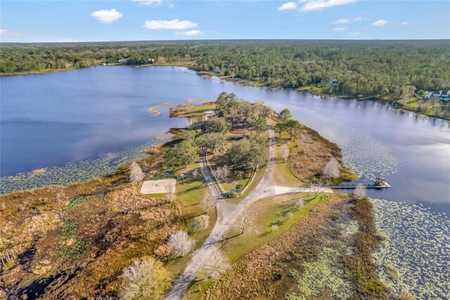 535 Valley Stream Dr, Geneva, FL 32732 - photo 64