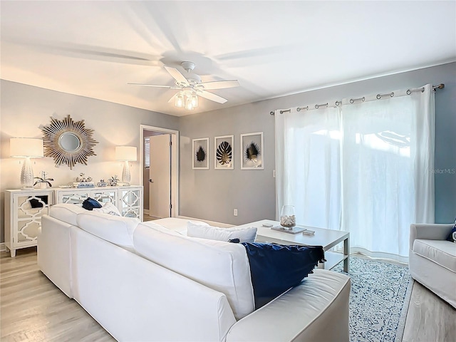 living room featuring ceiling fan and light hardwood / wood-style flooring