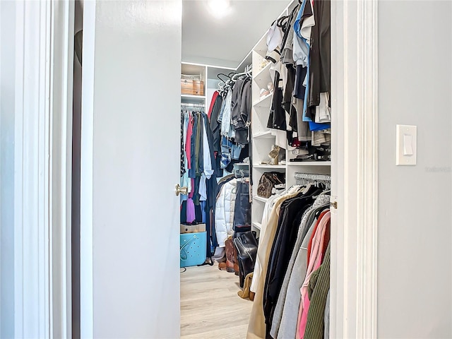 spacious closet with light wood-type flooring