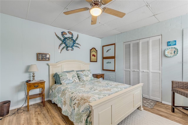 bedroom featuring a closet, ceiling fan, light hardwood / wood-style flooring, and a paneled ceiling