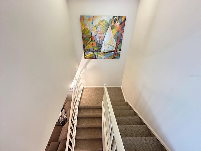 stairs featuring carpet floors