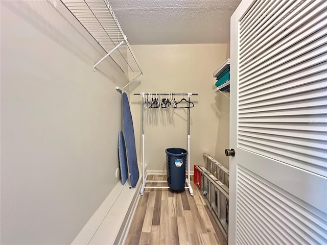 spacious closet with light hardwood / wood-style floors