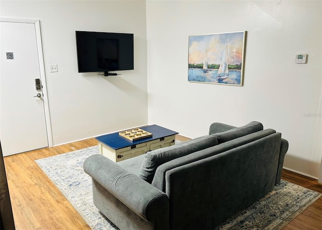 living room featuring wood-type flooring