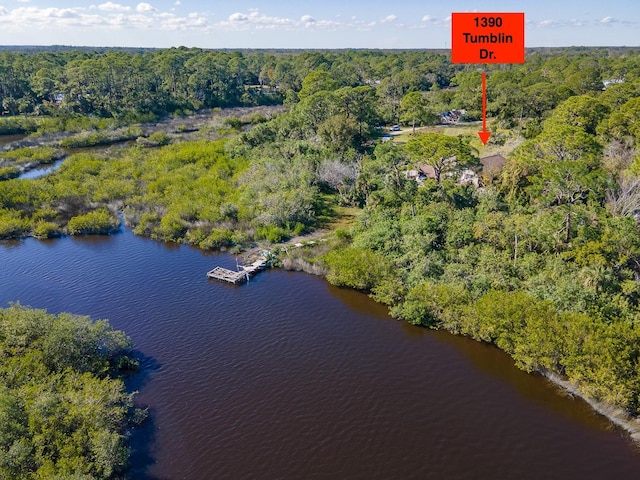 1390 Tumblin Dr, New Smyrna Beach, FL 32168 - aerial view of property's location featuring a forest and a nearby body of water