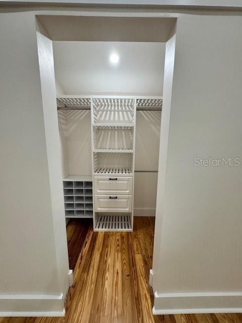 spacious closet with hardwood / wood-style floors