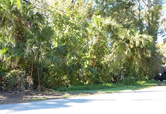 332 Patricia Dr, New Smyrna Beach FL, 32168 land for sale