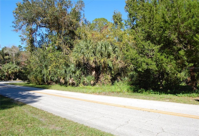 125 Jungle Rd, New Smyrna Beach FL, 32168 land for sale