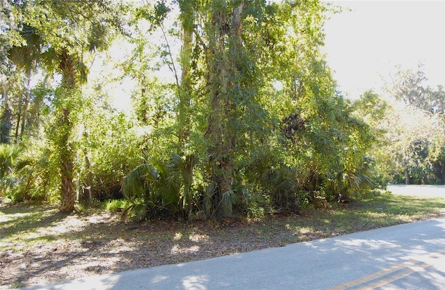 Listing photo 3 for 125 Jungle Rd, New Smyrna Beach FL 32168