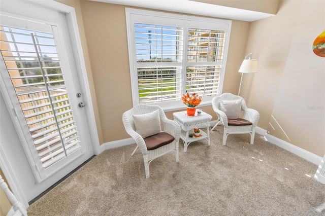 sitting room featuring carpet flooring and a healthy amount of sunlight