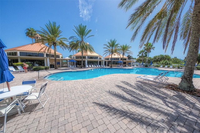 view of swimming pool with a patio area