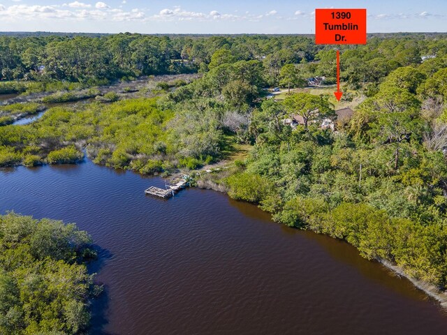 Tumblin Dr, New Smyrna Beach, FL 32168 - photo 1