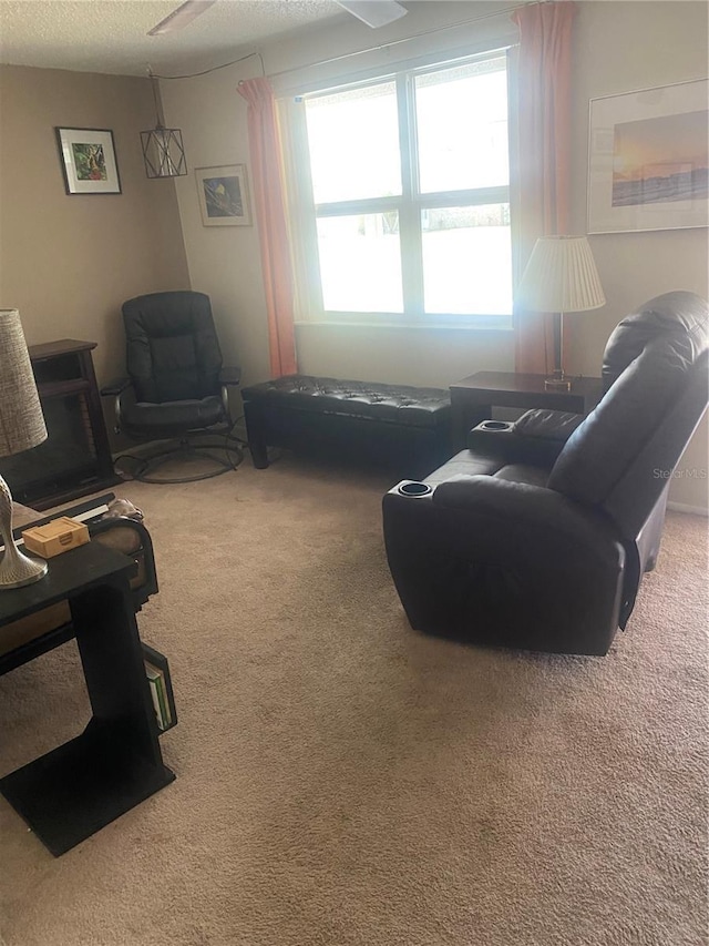 2017 Royal Palm Dr, Edgewater, FL 32141 - carpeted living room featuring a textured ceiling