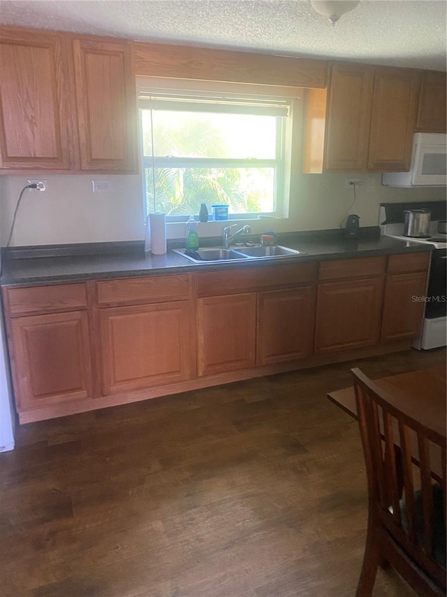 2017 Royal Palm Dr, Edgewater, FL 32141 - kitchen featuring dark hardwood / wood-style flooring, sink, a textured ceiling, and range