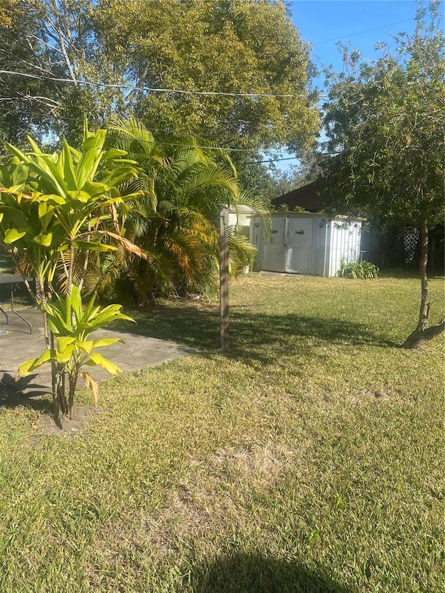 2017 Royal Palm Dr, Edgewater, FL 32141 - view of yard