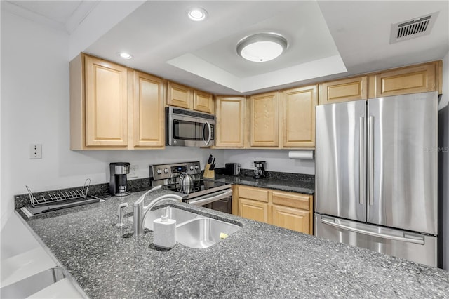 kitchen featuring a tray ceiling, sink, light brown cabinetry, and appliances with stainless steel finishes