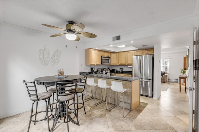 kitchen featuring a textured ceiling, stainless steel appliances, ceiling fan, sink, and a breakfast bar area