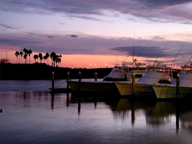 property view of water with a boat dock