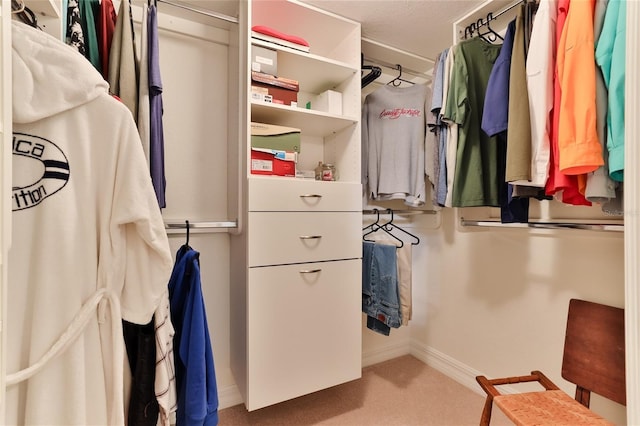 spacious closet with carpet