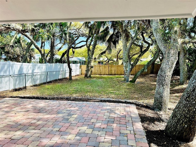 view of yard with a patio