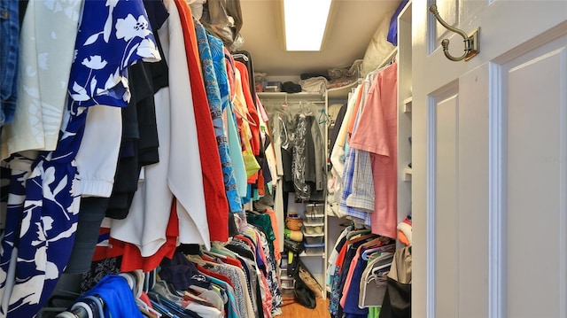 view of spacious closet