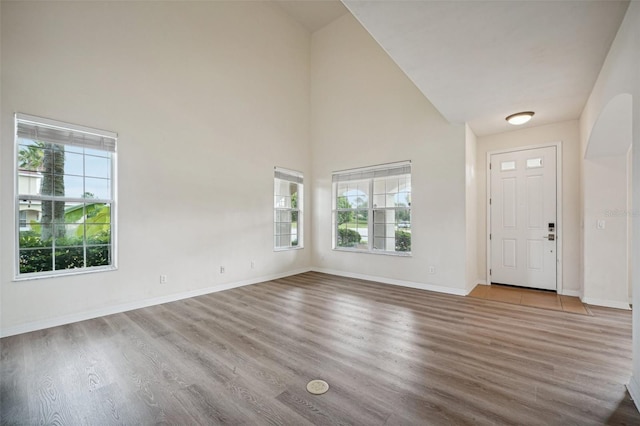 entrance foyer featuring high vaulted ceiling, light hardwood / wood-style flooring, and a wealth of natural light