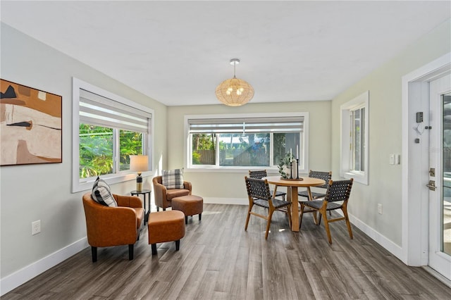 dining area featuring dark wood-type flooring