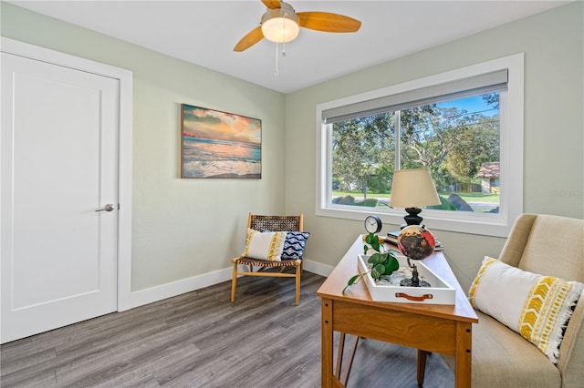 home office with hardwood / wood-style floors, plenty of natural light, and ceiling fan