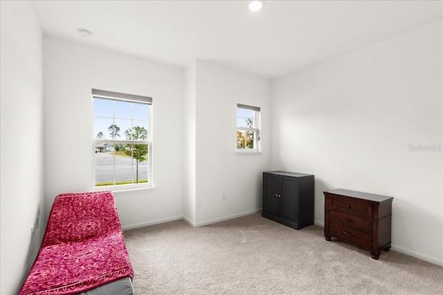 sitting room with light carpet